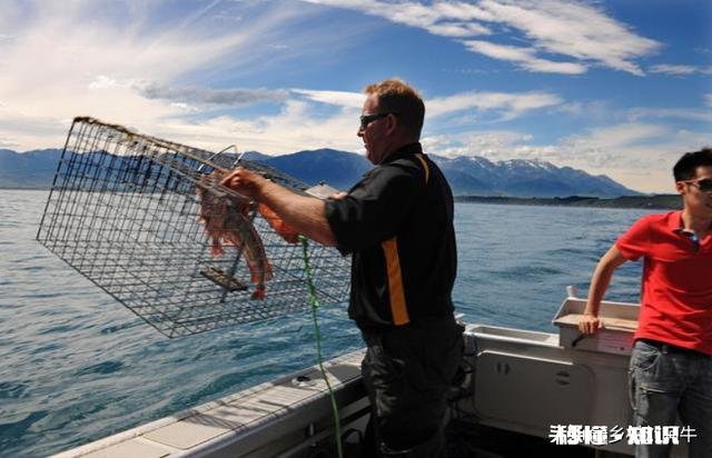 近海钓鱼怎么找鱼群