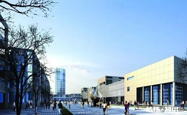 你鼓励孩子在学校里获得满分，还是高分加宽厚的基础知识