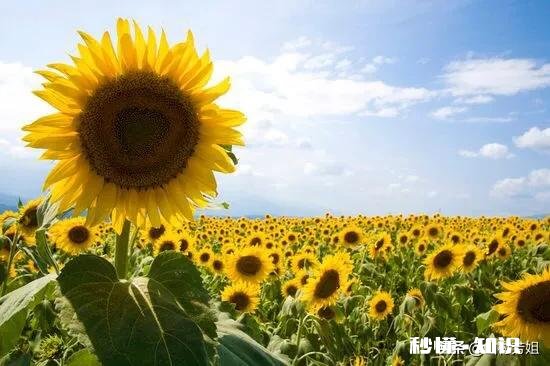 2019年快过完了，马上是2020年，今年的目标完成没有，明年最大的心愿是什么