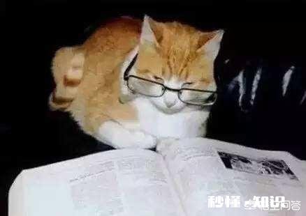 java该怎么样学习呢