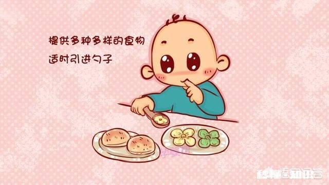 宝宝学习独立吃饭的5个黄金时期是什么时候，家长们都把握住了吗