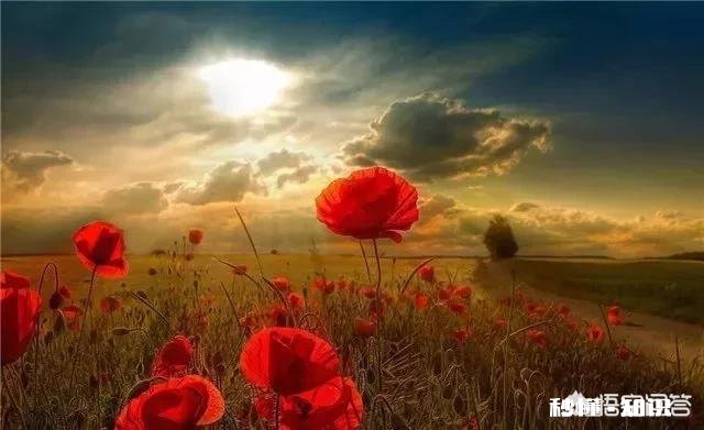 男友要求恋爱平等是大男子主义吗