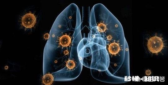 疫情期超市面粉涨到3元一市斤，这个价格正常吗