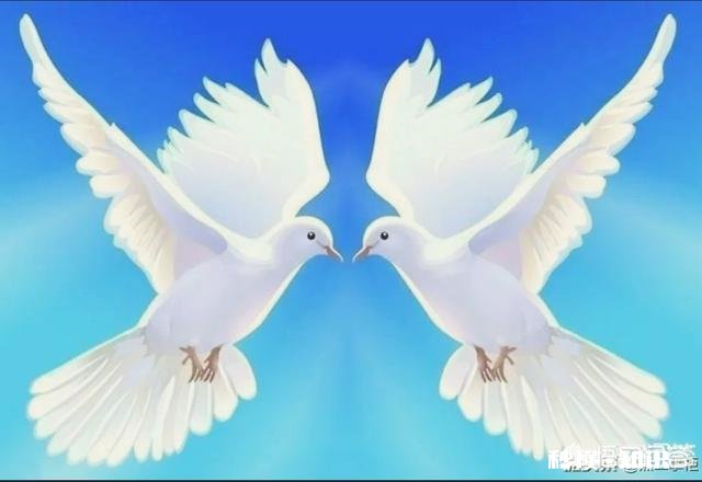 如何在今日头条里找到女朋友