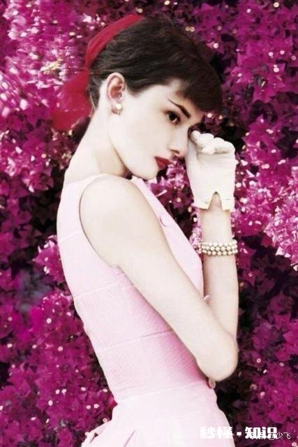 如何在今日头条里找到女朋友