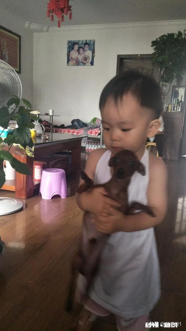 想多陪陪孩子,该如何做