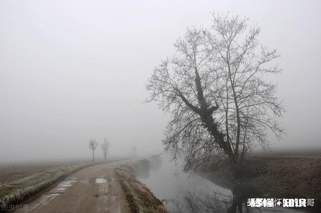 为什么有的农村把街道修六米宽