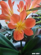 错过的爱情，回味起来感觉怎么样呢