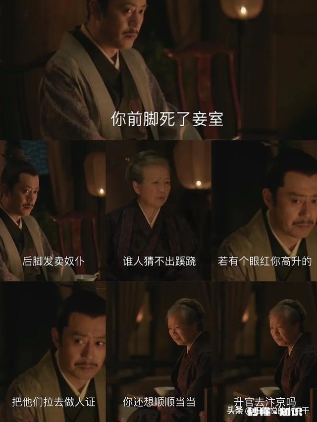 《知否知否应是绿肥红瘦》老太太为什么喜欢小娘的孩子