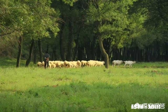 你觉得工资与付出不符的是哪些职业最让你不能接受的是哪两个职业