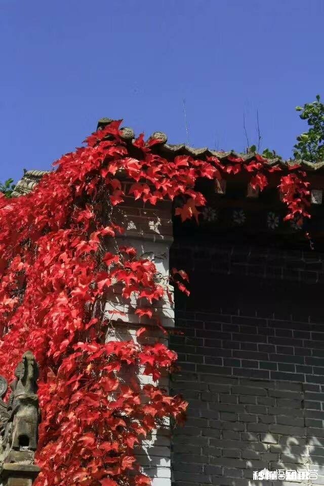 你觉得工资与付出不符的是哪些职业最让你不能接受的是哪两个职业