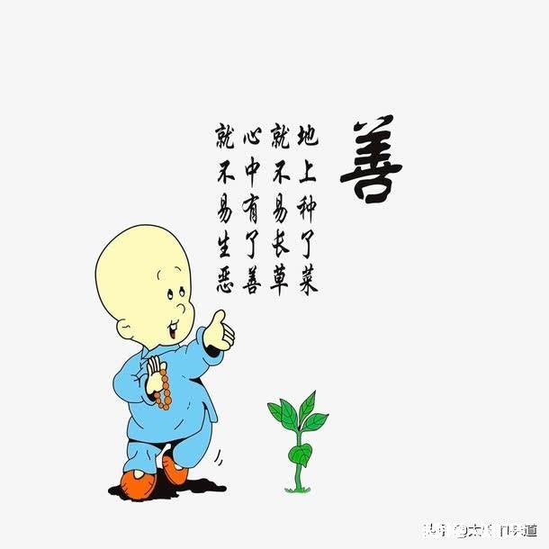 如何把自己的人生过得一地鸡毛