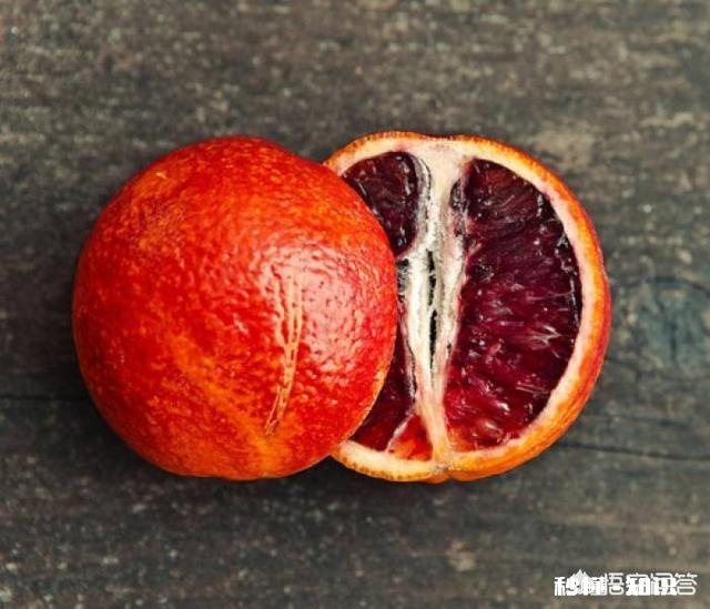 血橙如何种植