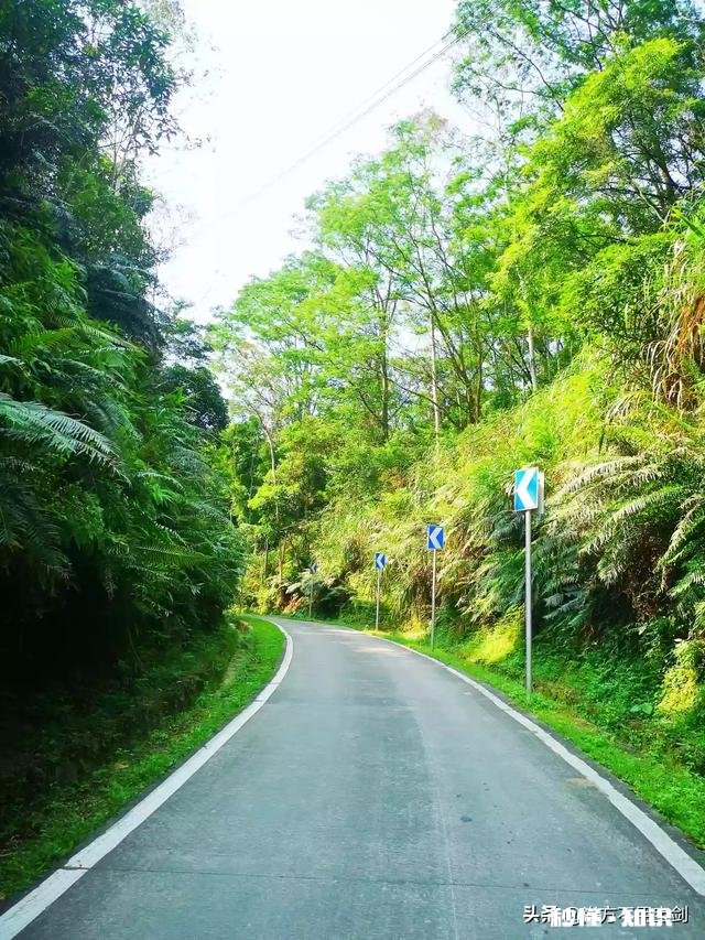 能不能晒晒你可以骑着远行的坐骑