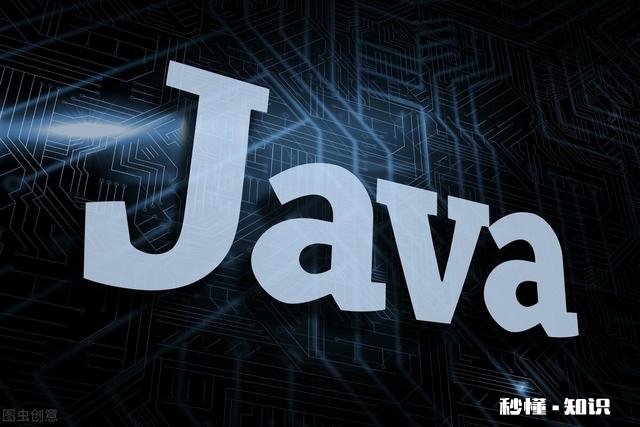 大学毕业没找到好工作，想转行IT，应该学习哪方面知识