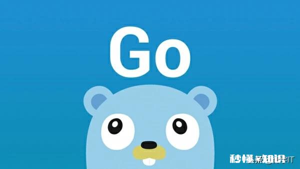 大学毕业没找到好工作，想转行IT，应该学习哪方面知识