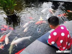 家长如何正确对待孩子的磨蹭