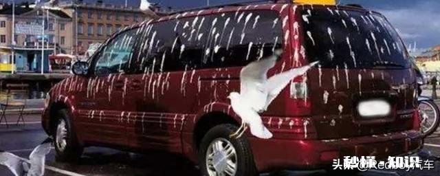 鸟屎已经破坏车漆怎么办