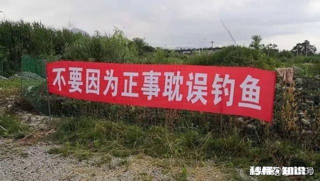 野钓的时候遭遇鱼口不断，你会不会决战到天亮