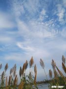 请教下广大钓友，200以内的台钓竿，哪些牌子的比较好