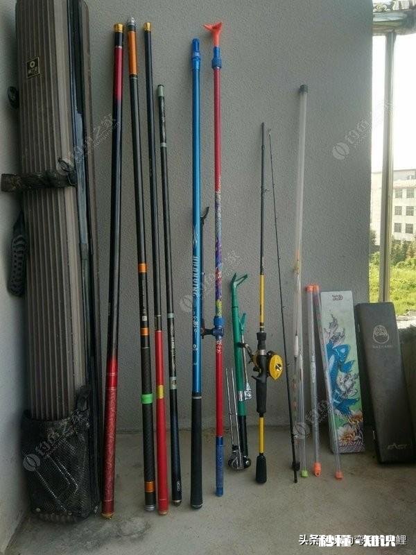 请教下广大钓友，200以内的台钓竿，哪些牌子的比较好