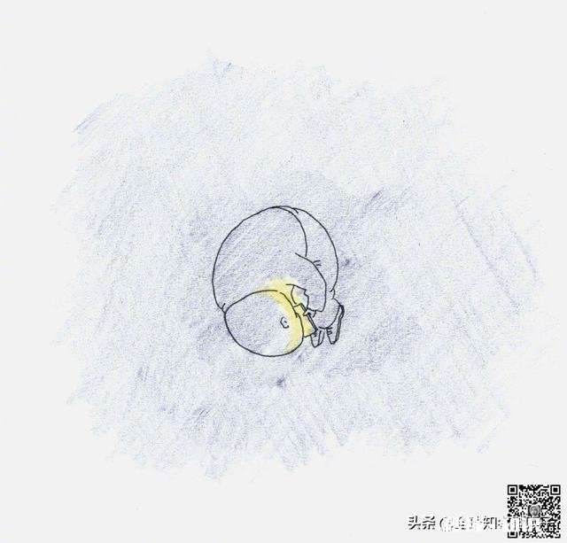 争议不断！周琦发心灵鸡汤“让梦想永不退场”，实则为信贷产品打广告。对此，你怎么看