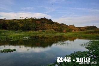 野山塘怎么看它有草鱼