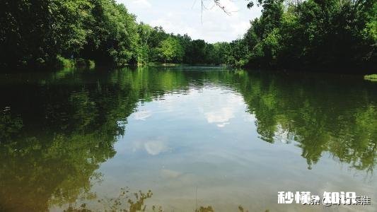 野山塘怎么看它有草鱼