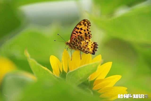 俗话说，越努力越幸运，我努力了，却没有幸运，会是哪里出问题了