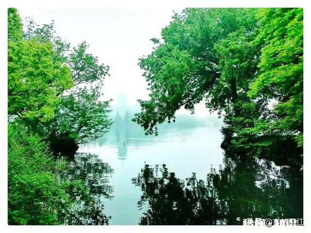 屏幕前的你，能不能与我分享一些你所见过的叶子