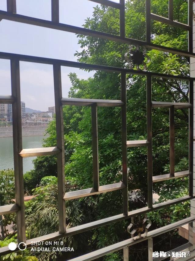 五月有哪些优美的古诗词句子读后心得体会是什么