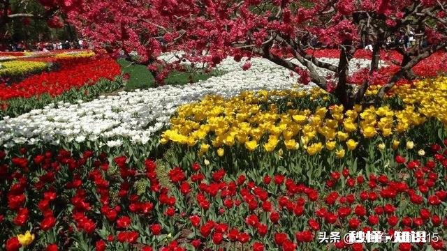 时光倒流15年，你最想做的事是什么