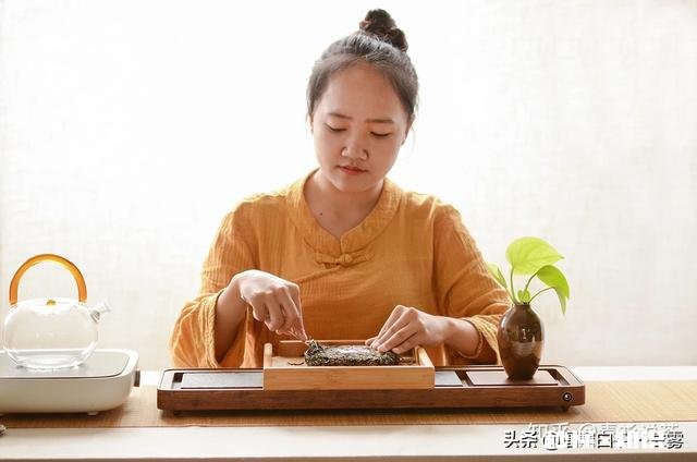 普洱茶如何分辨春茶和秋茶