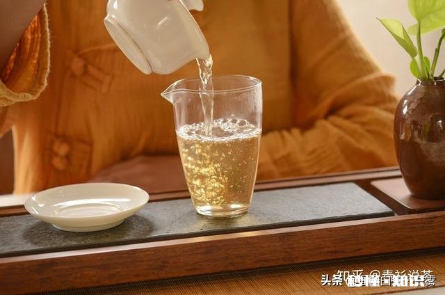 普洱茶如何分辨春茶和秋茶