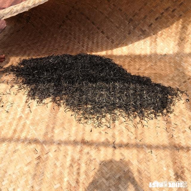 普洱茶如何分辨春茶和秋茶