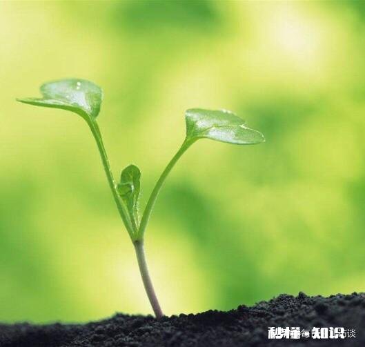 为什么说家长爱孩子就要教好他怎样教好他