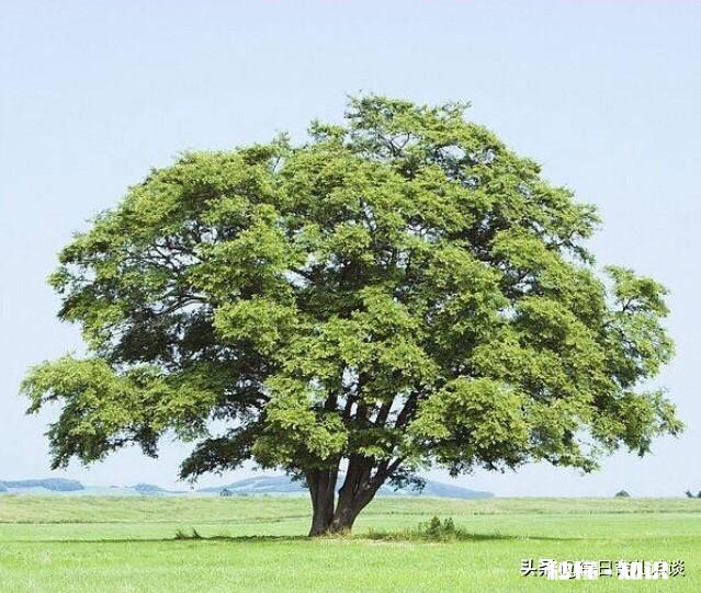 为什么说家长爱孩子就要教好他怎样教好他