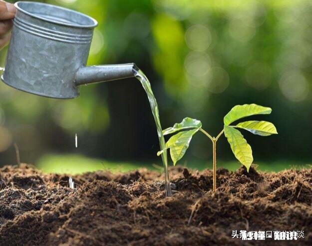 为什么说家长爱孩子就要教好他怎样教好他