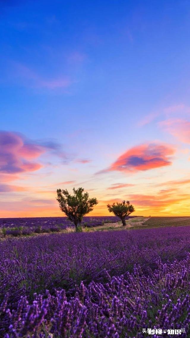 出轨的女人可以被原谅吗我弟媳妇出轨，可弟弟为了孩子还想和她一起生活