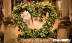 一见钟情的爱情，都会败给生活琐事和柴米油盐吗