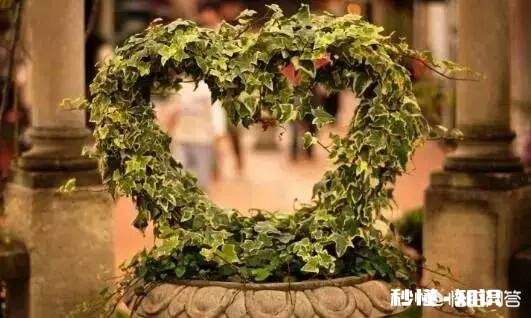 一见钟情的爱情，都会败给生活琐事和柴米油盐吗