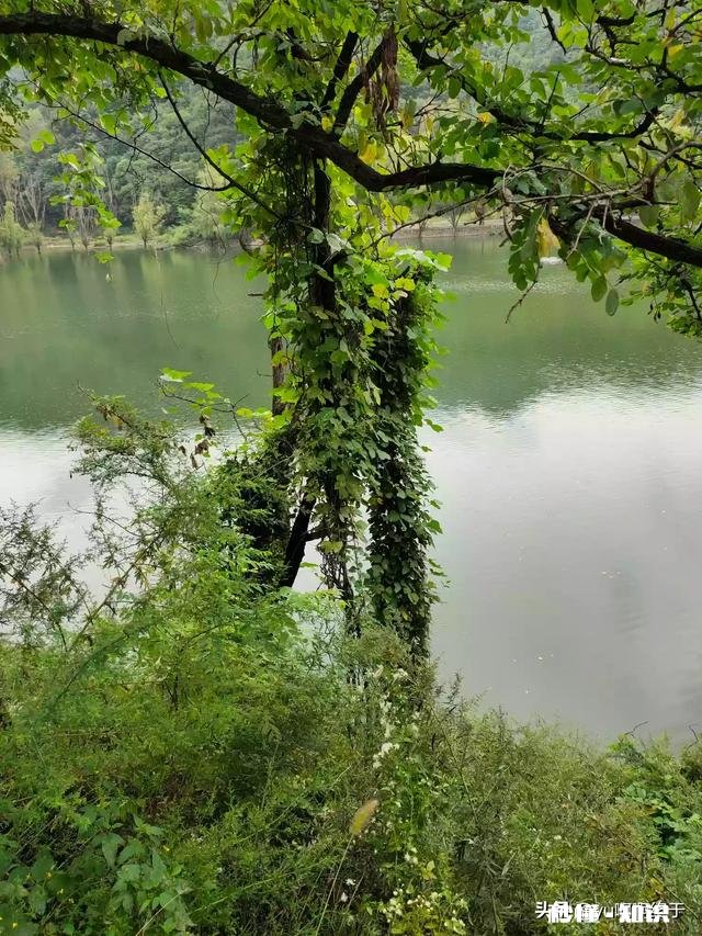 唐太宗李世民玄武门事变，针对的仅仅是太子李建成吗