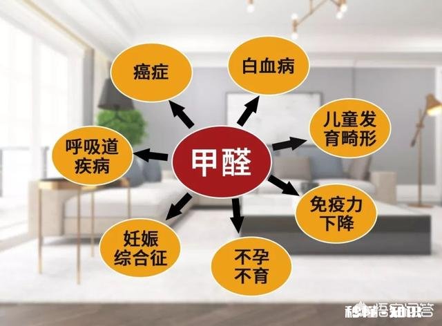 装修板材会产生大量的甲醛污染，墙上刷硅藻泥后真能消除甲醛吗