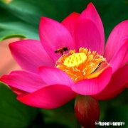 中秋佳节到了你最想念谁