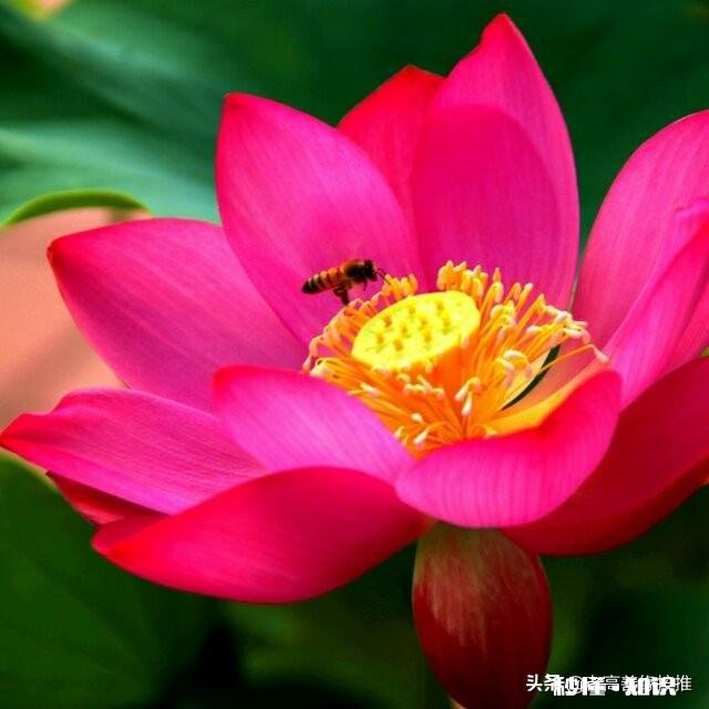 中秋佳节到了你最想念谁