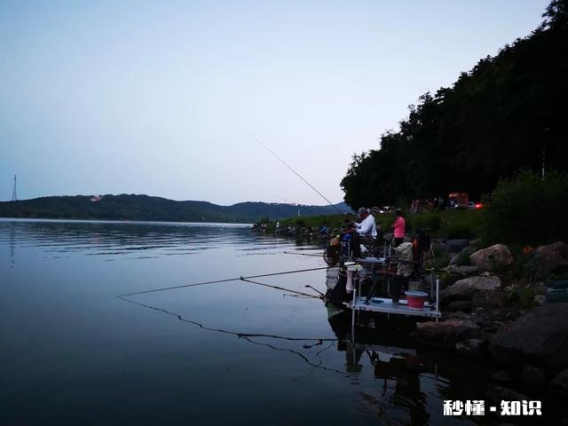 钓王的称号是什么比赛得来的国内含金量最高的钓鱼比赛是哪项赛事