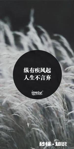 张雪峰表示考研更多的为二本生，通过笔试复试却被刷，原因为何