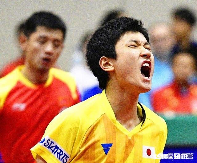 如何看待张本智和的父亲发表的“当今世界乒坛，只有马龙能在技术方面压制张本智和”的言论