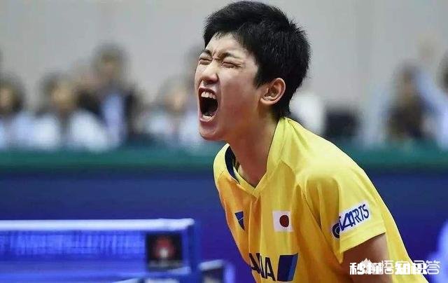 如何看待张本智和的父亲发表的“当今世界乒坛，只有马龙能在技术方面压制张本智和”的言论