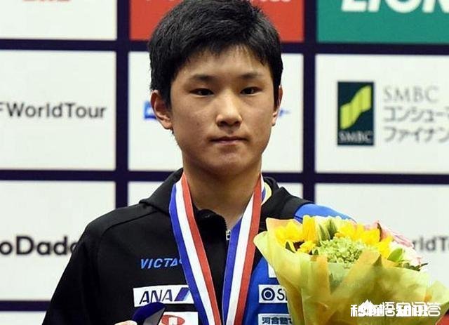 如何看待张本智和的父亲发表的“当今世界乒坛，只有马龙能在技术方面压制张本智和”的言论
